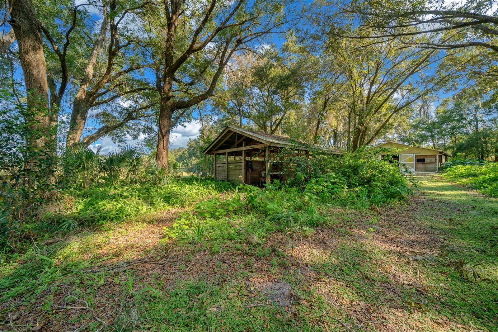 399 NE 155 PL, CITRA, FL, 32113