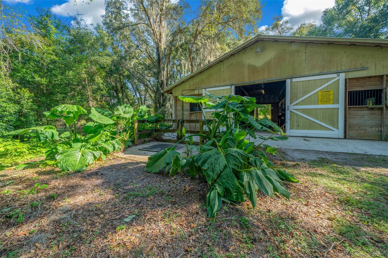 399 NE 155 PL, CITRA, FL, 32113