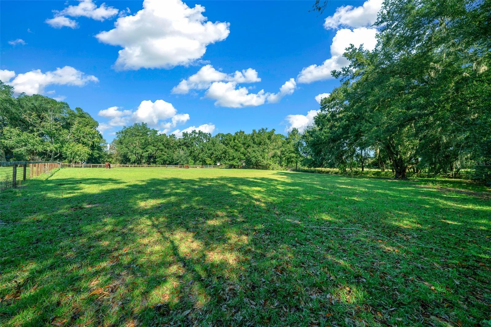 399 NE 155 PL, CITRA, FL, 32113
