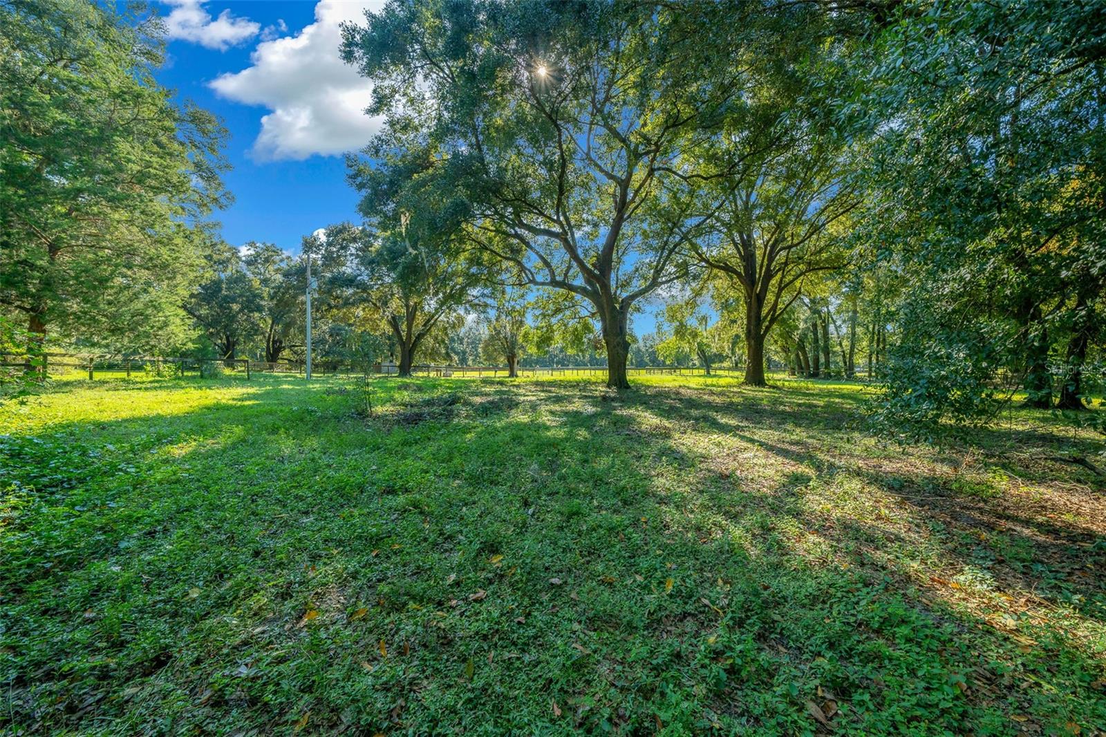 399 NE 155 PL, CITRA, FL, 32113