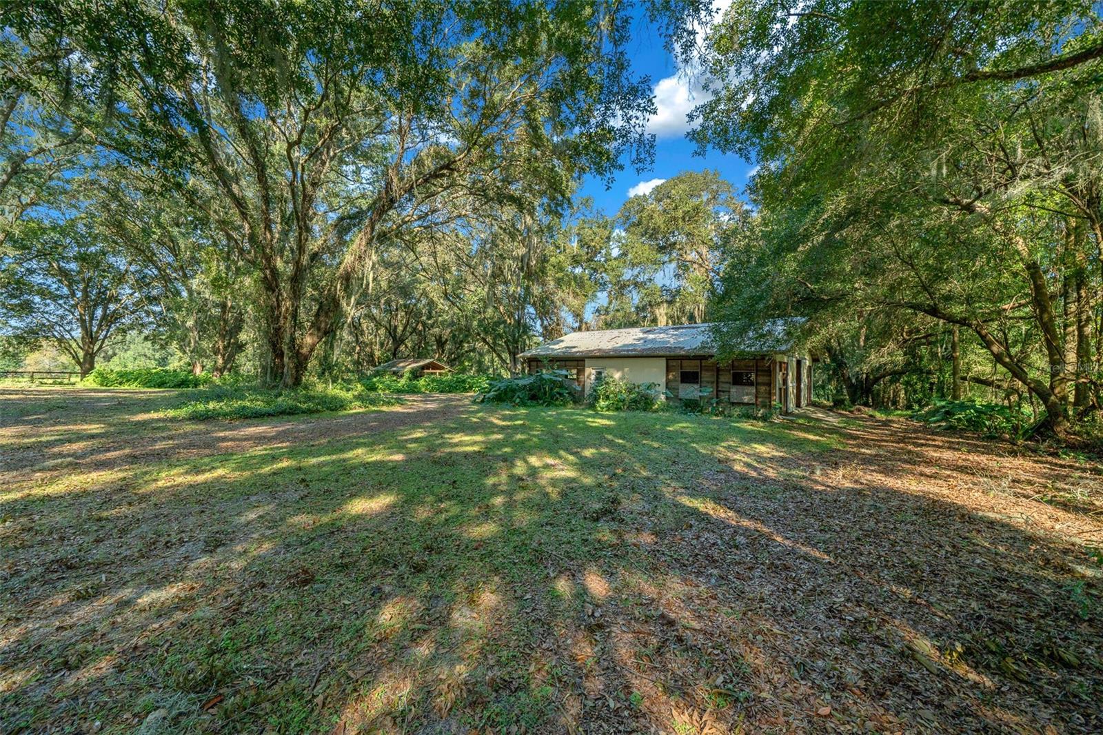 399 NE 155 PL, CITRA, FL, 32113