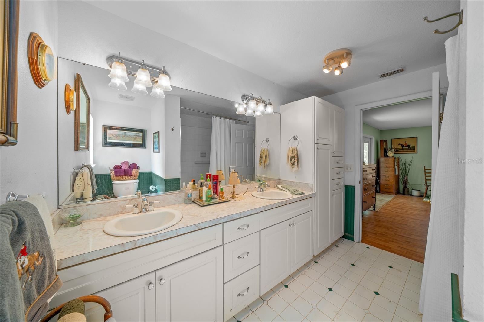399 NE 155 PL, CITRA, FL, 32113