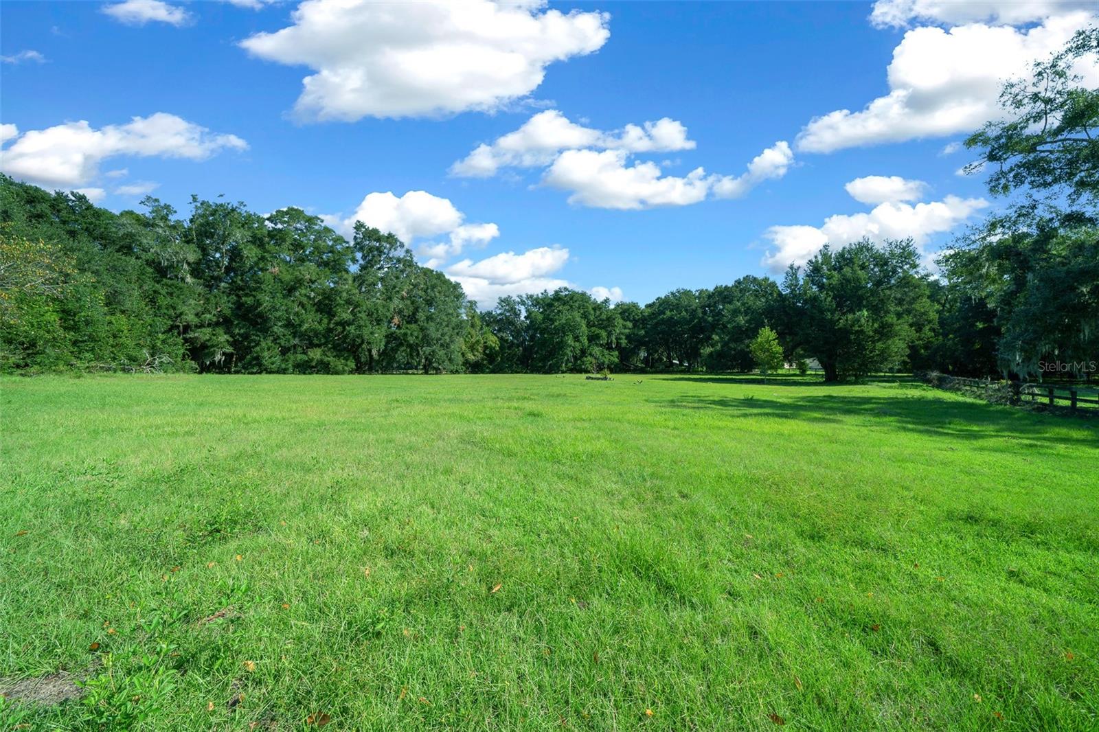 399 NE 155 PL, CITRA, FL, 32113
