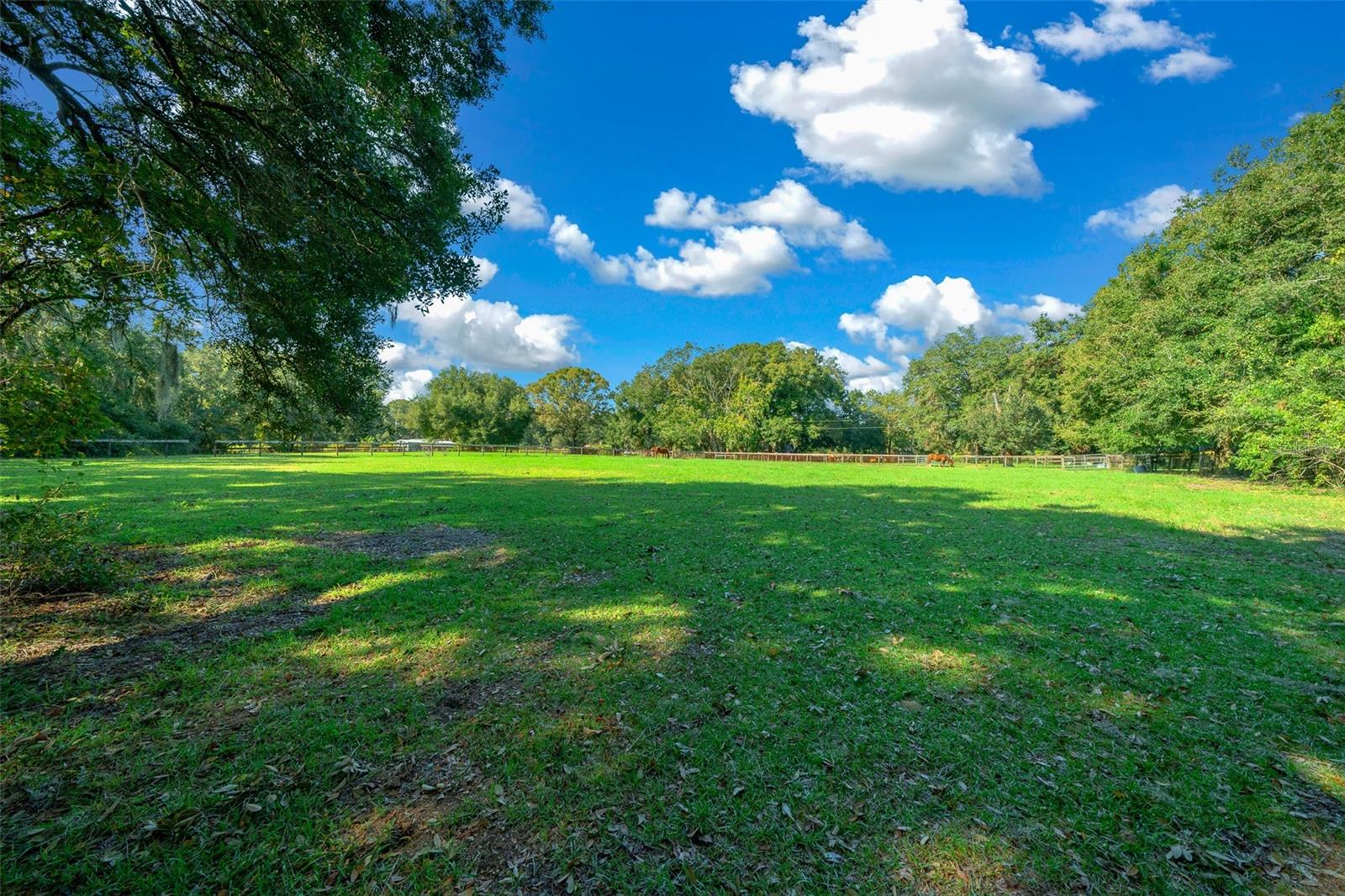 399 NE 155 PL, CITRA, FL, 32113
