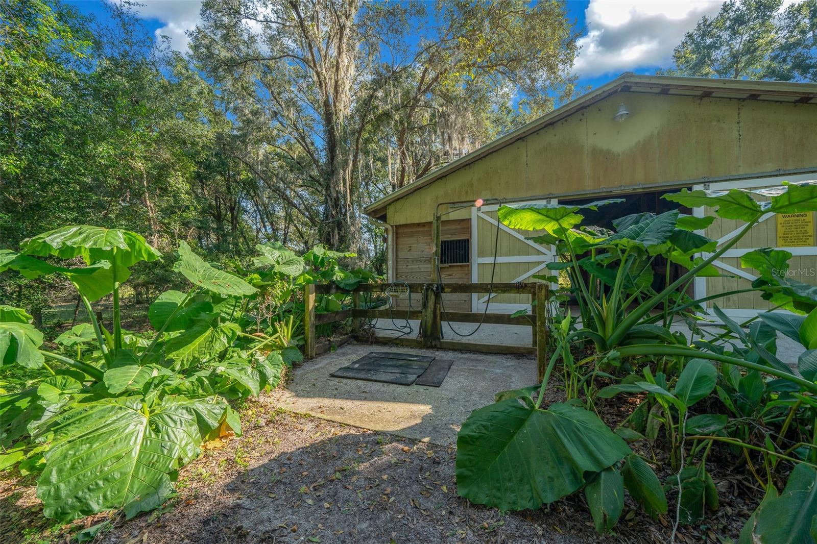 399 NE 155 PL, CITRA, FL, 32113