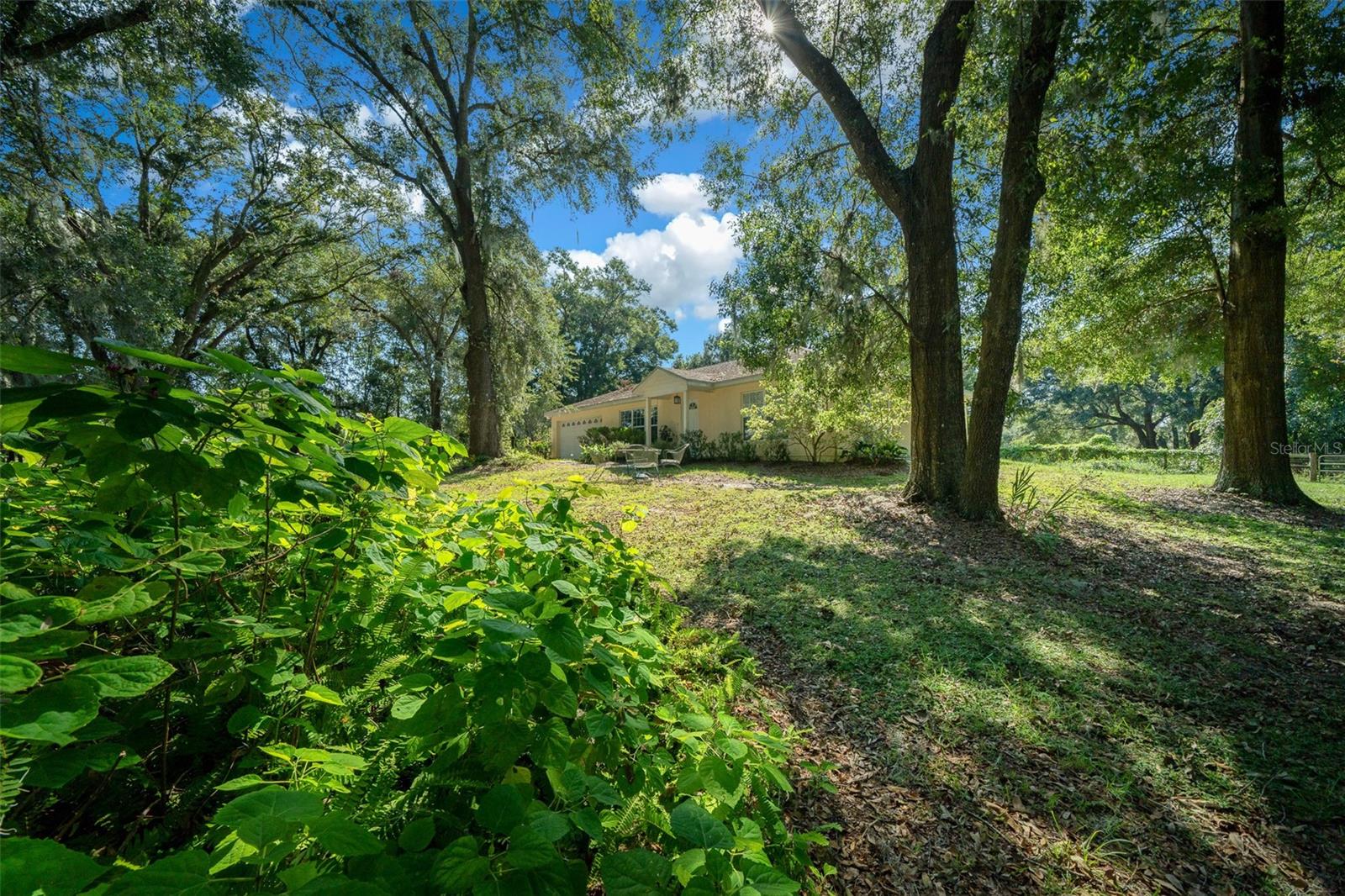 399 NE 155 PL, CITRA, FL, 32113