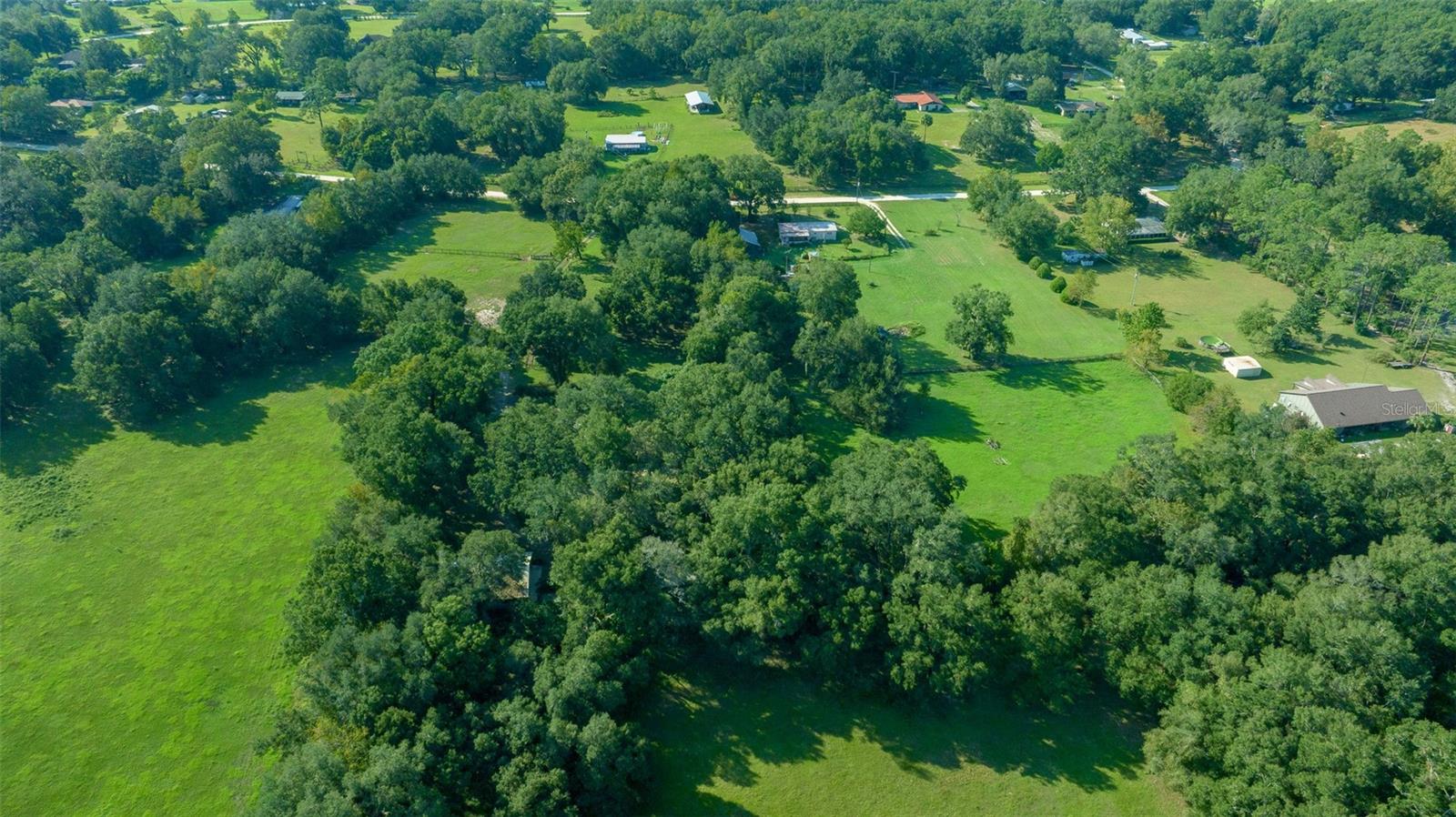 399 NE 155 PL, CITRA, FL, 32113