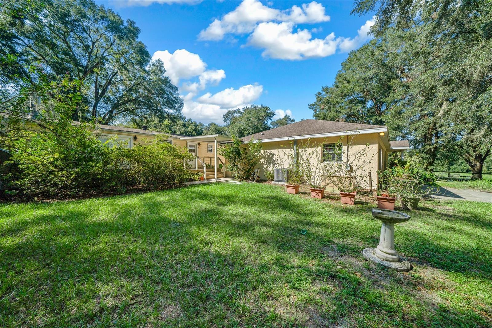 399 NE 155 PL, CITRA, FL, 32113