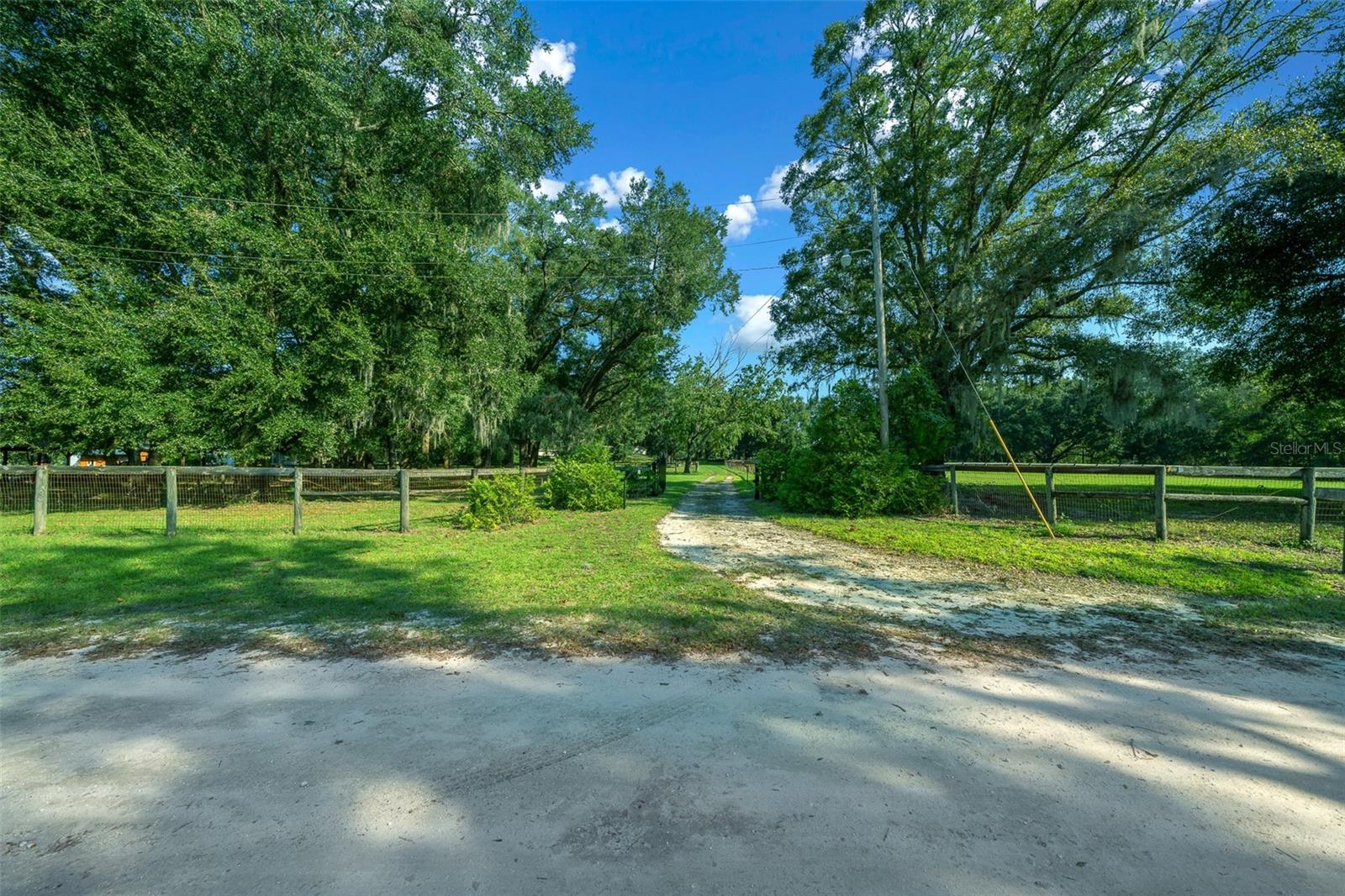 399 NE 155 PL, CITRA, FL, 32113