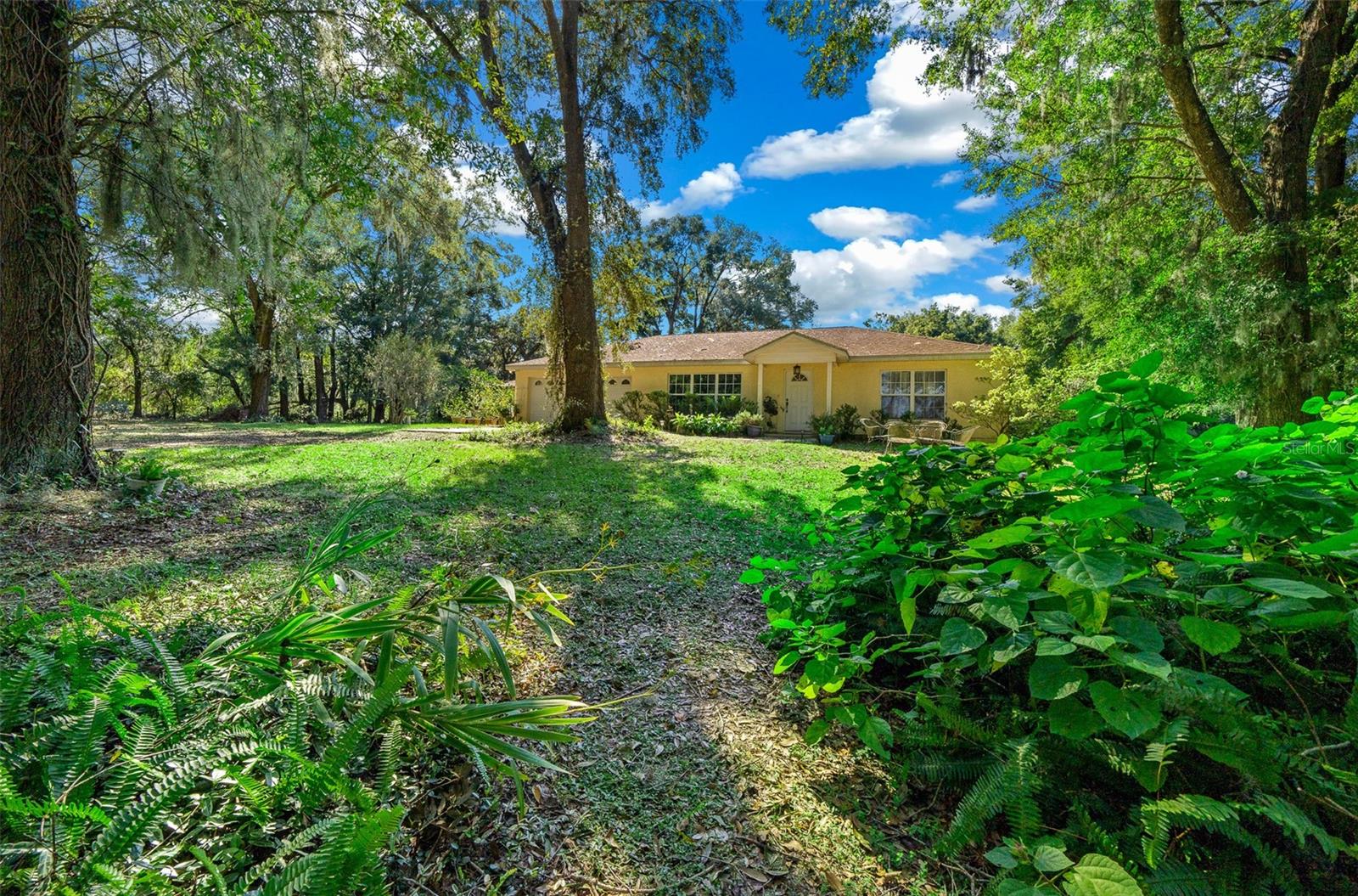 399 NE 155 PL, CITRA, FL, 32113
