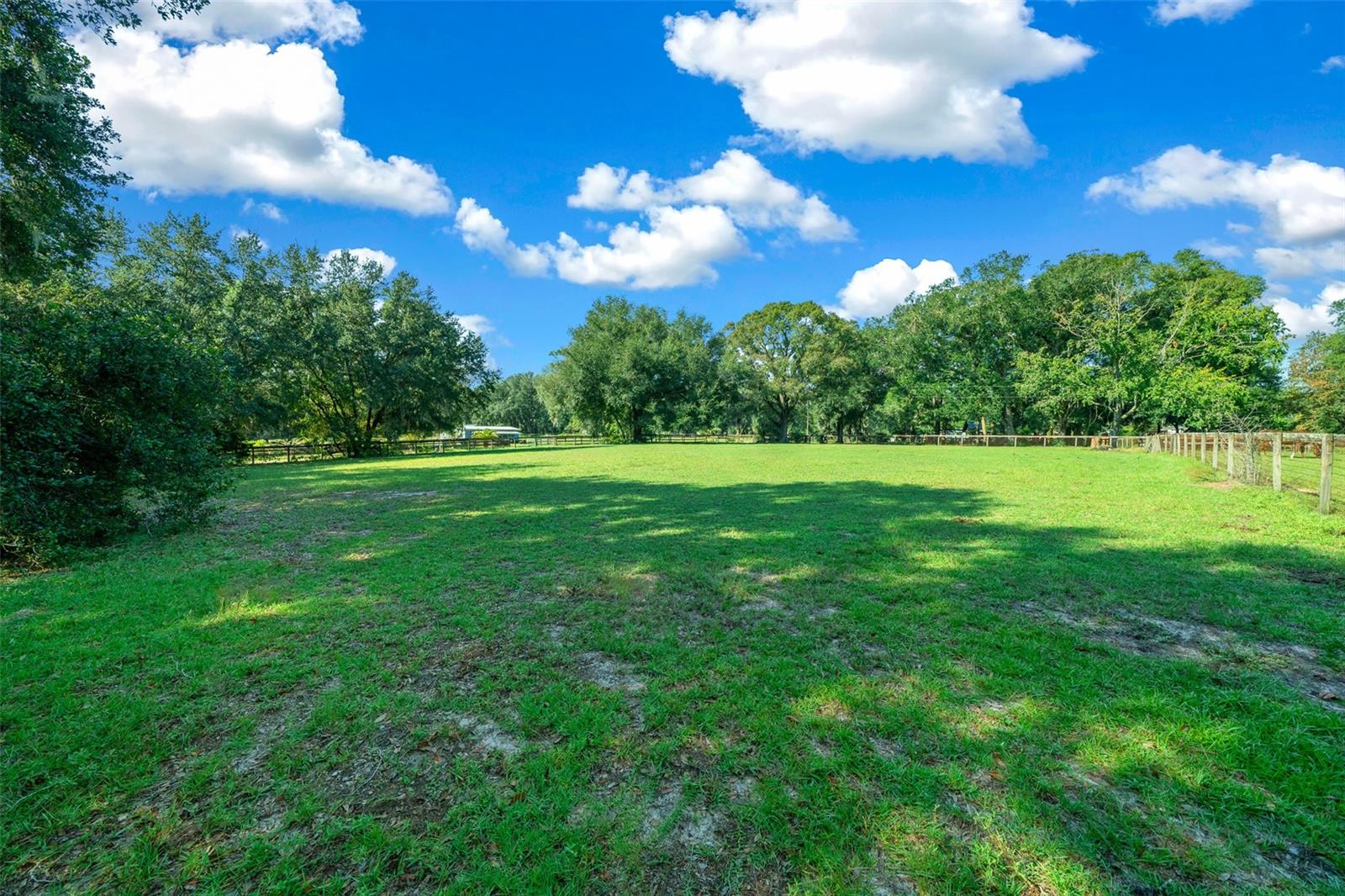 399 NE 155 PL, CITRA, FL, 32113