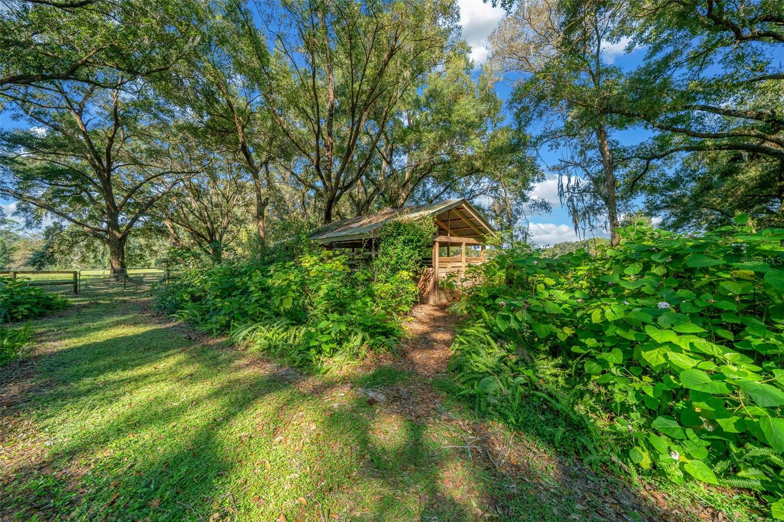 399 NE 155 PL, CITRA, FL, 32113