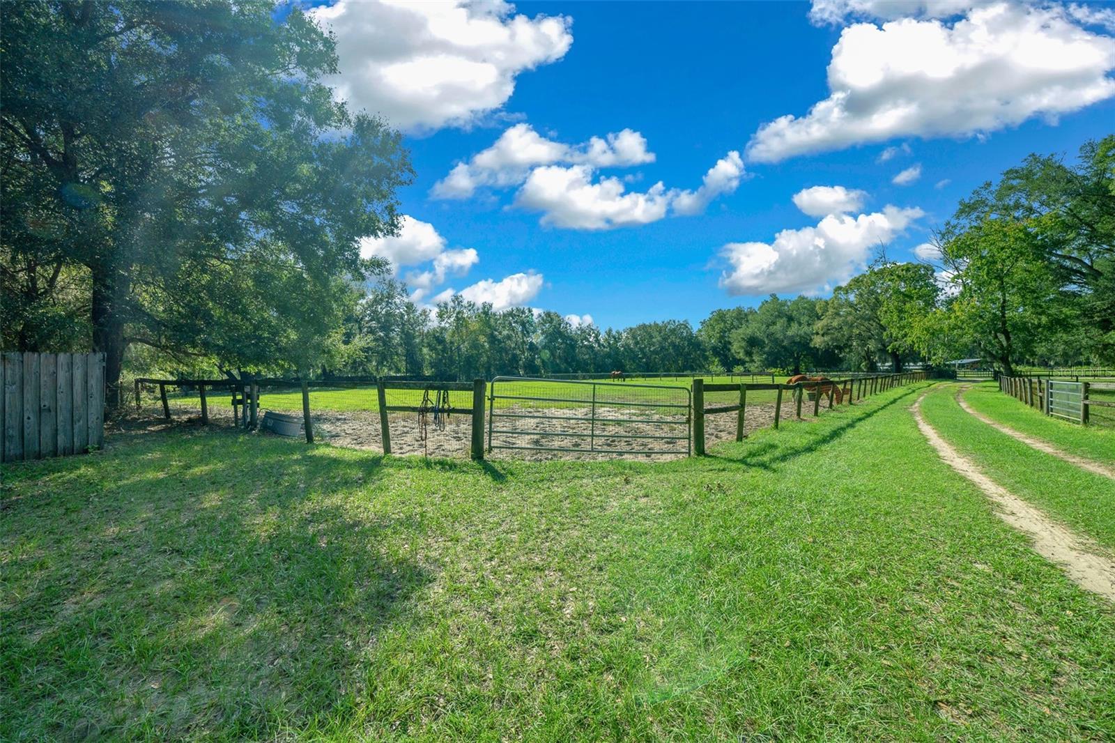 399 NE 155 PL, CITRA, FL, 32113