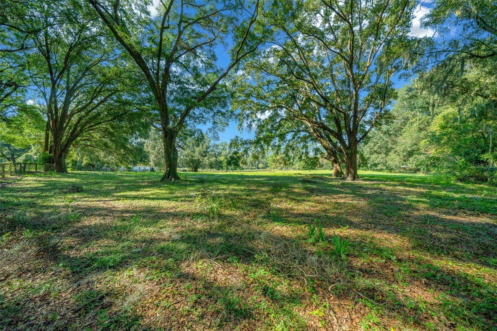 399 NE 155 PL, CITRA, FL, 32113