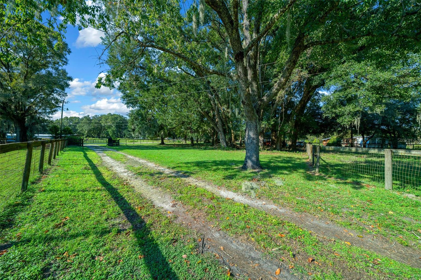 399 NE 155 PL, CITRA, FL, 32113