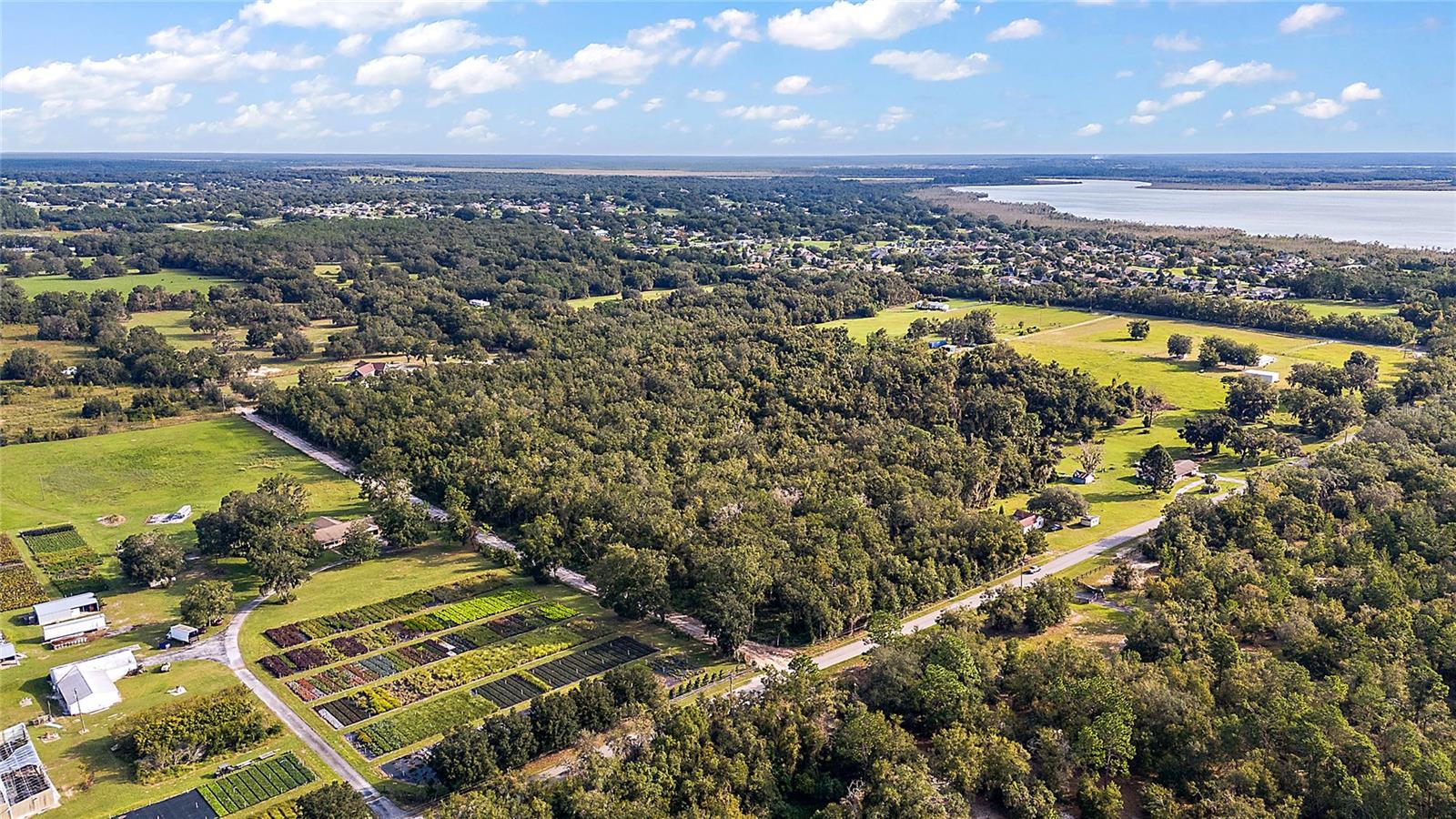 5011 GRIFFIN VIEW DR, LADY LAKE, FL, 32159