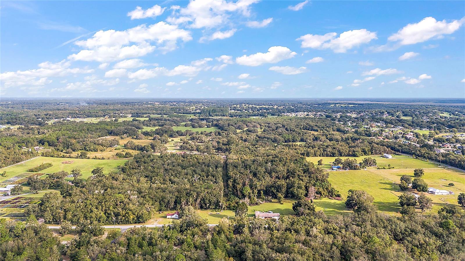 5011 GRIFFIN VIEW DR, LADY LAKE, FL, 32159