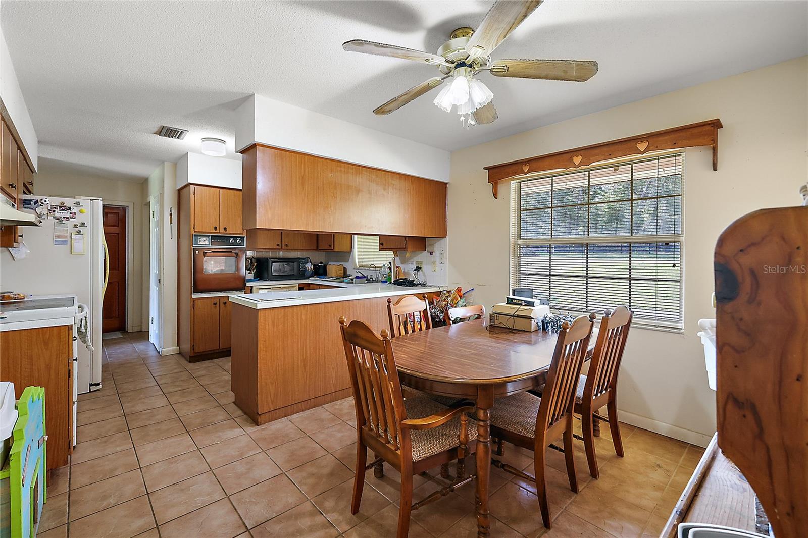 5011 GRIFFIN VIEW DR, LADY LAKE, FL, 32159