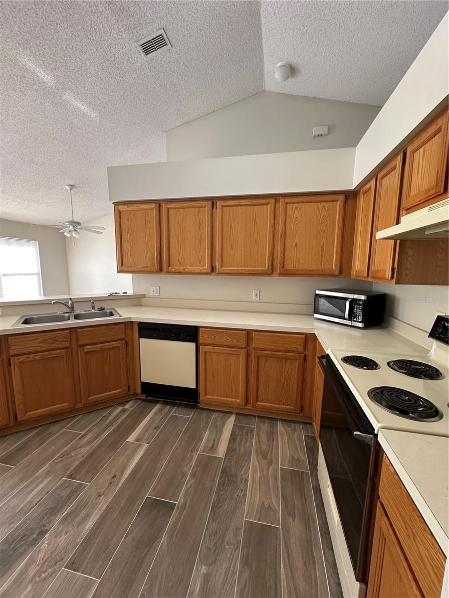 909 RIVER WIND AVE, ORLANDO, FL, 32825