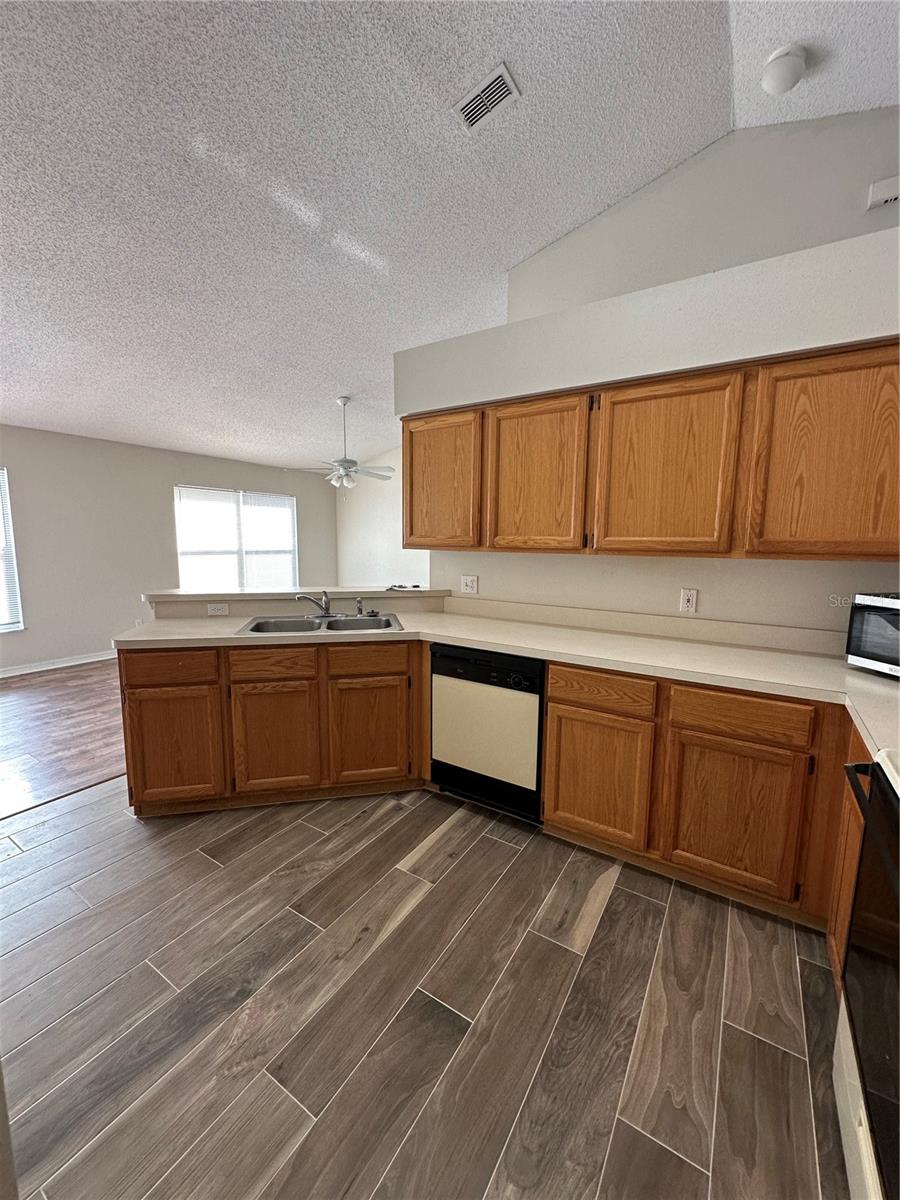 909 RIVER WIND AVE, ORLANDO, FL, 32825