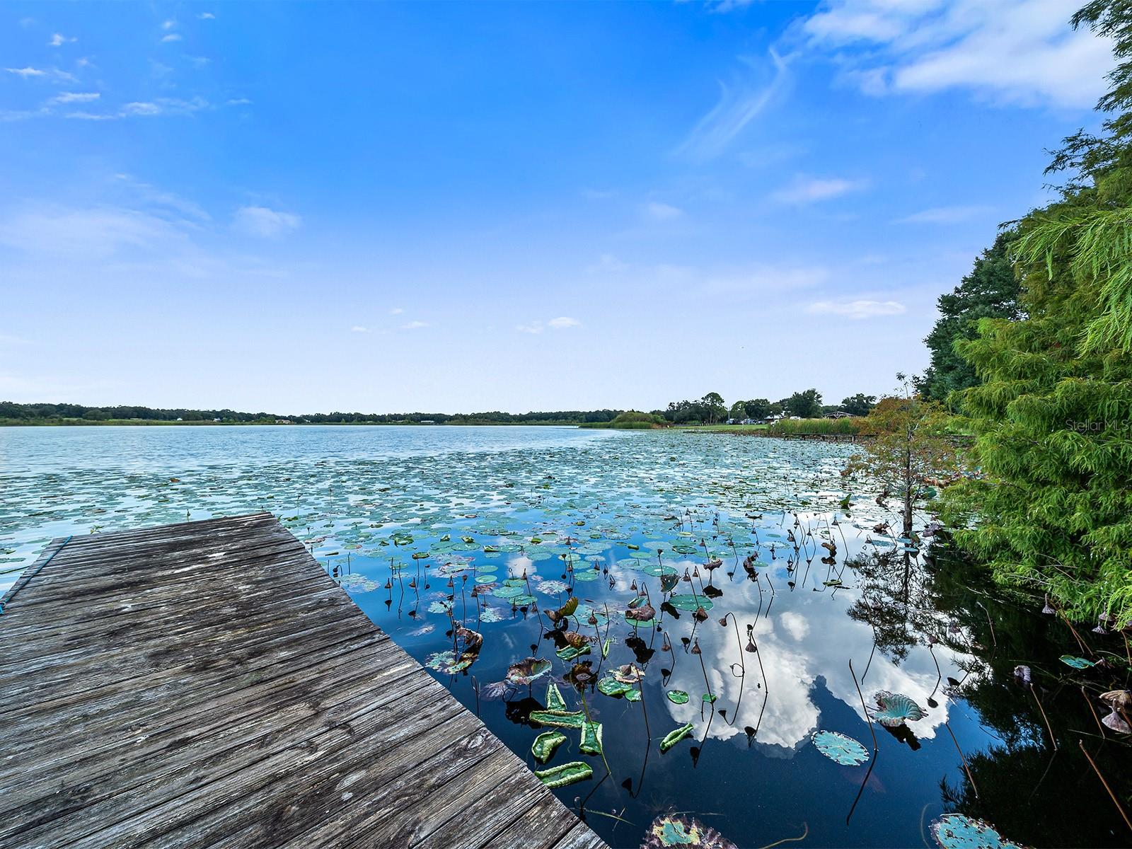 126 BERMUDA CT, WINTER HAVEN, FL, 33880