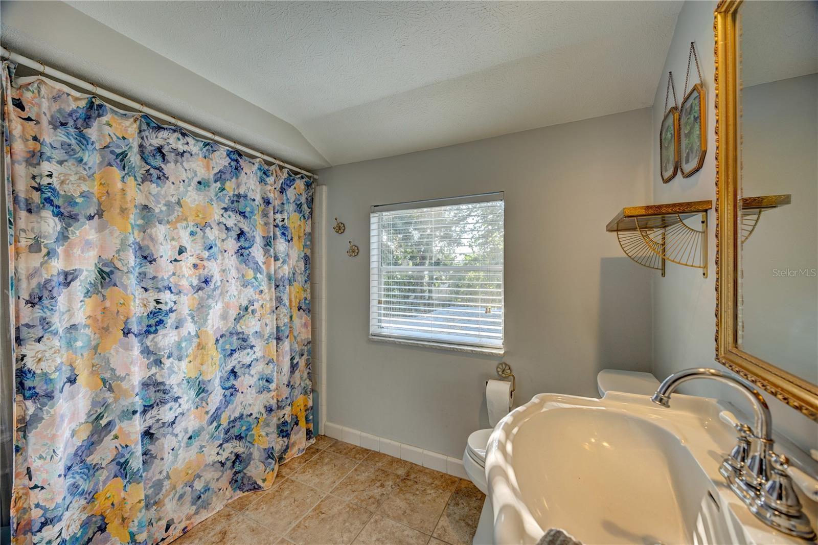 205 S OCCIDENT ST, TAMPA, FL, 33609