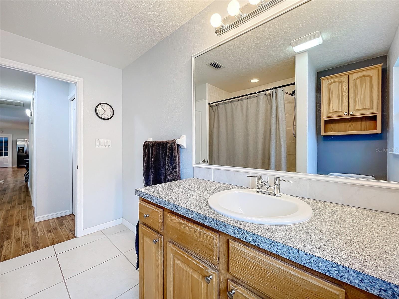 1559 LAKESHORE DR, EUSTIS, FL, 32726