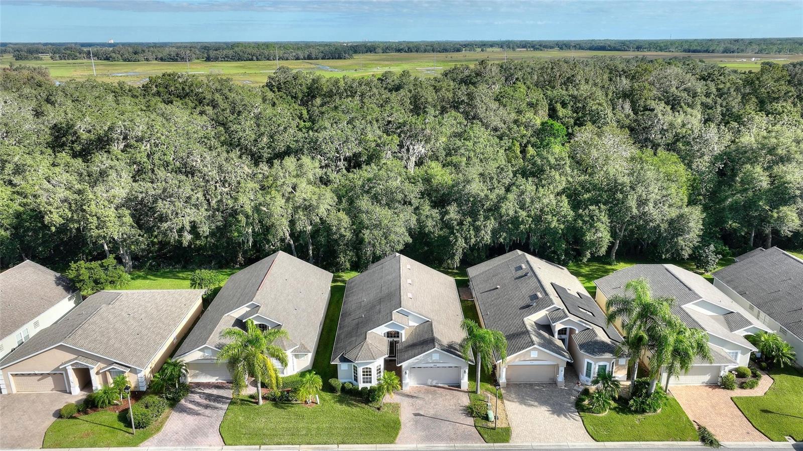 520 VISTA OAKS WAY, DAVENPORT, FL, 33837