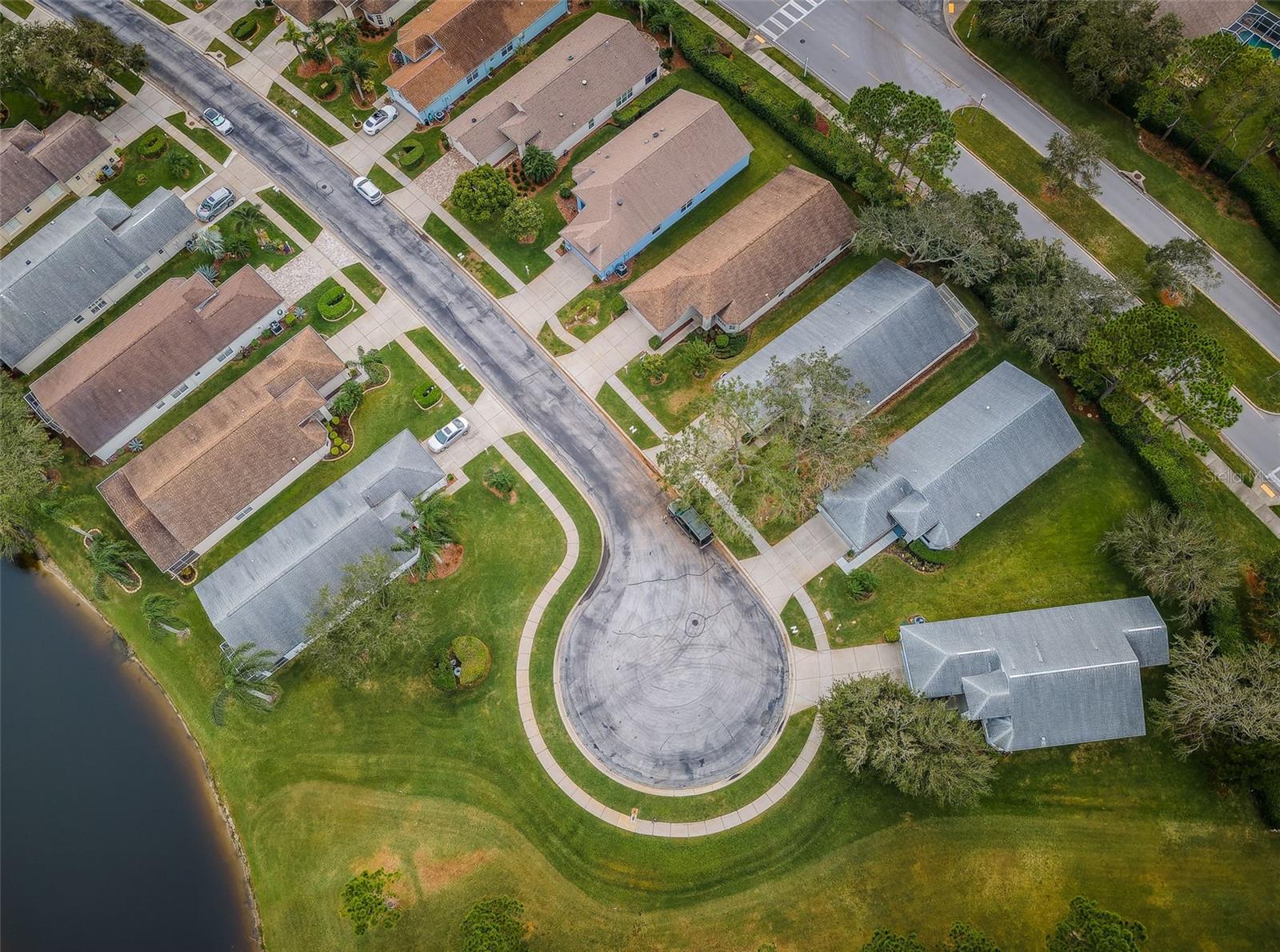 1439 HICKORY MOSS PL, TRINITY, FL, 34655