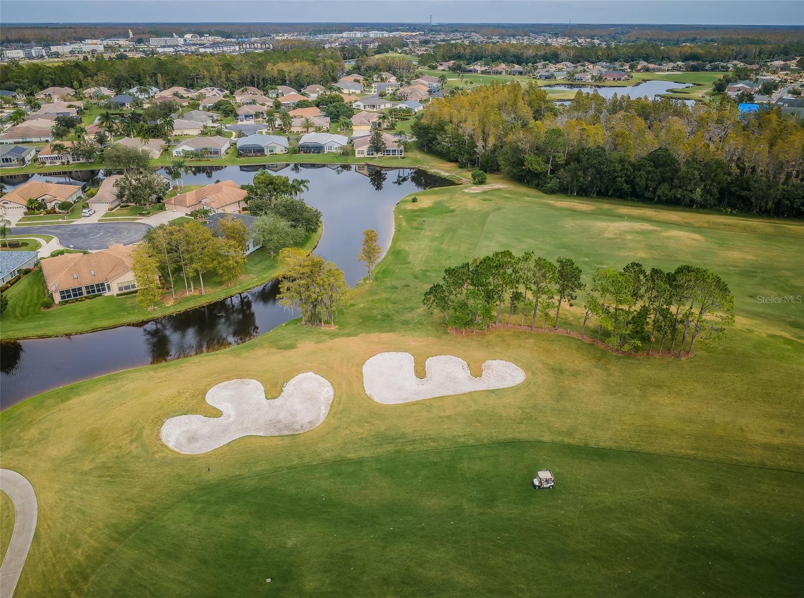 1439 HICKORY MOSS PL, TRINITY, FL, 34655