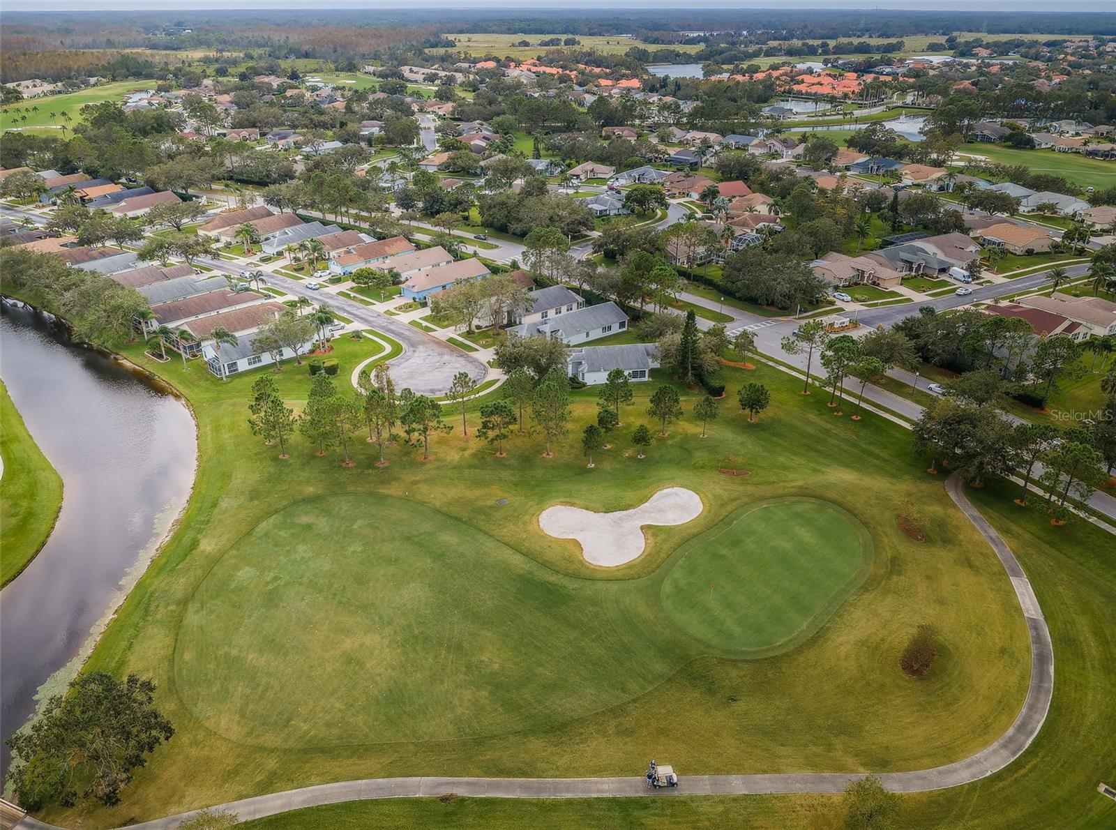 1439 HICKORY MOSS PL, TRINITY, FL, 34655