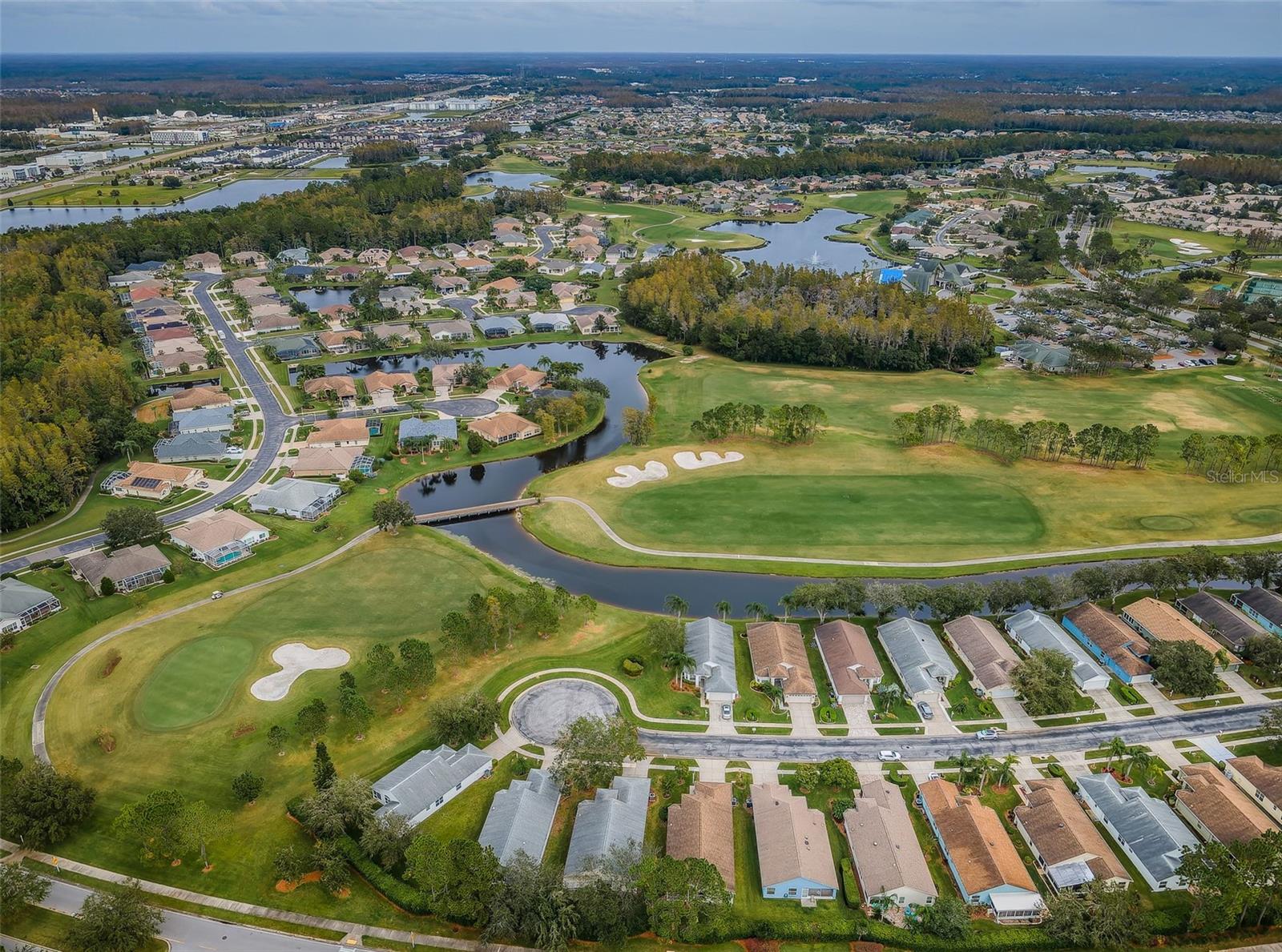 1439 HICKORY MOSS PL, TRINITY, FL, 34655