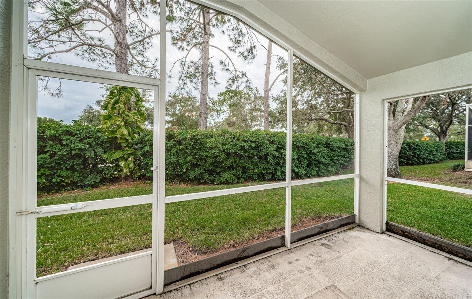 1439 HICKORY MOSS PL, TRINITY, FL, 34655