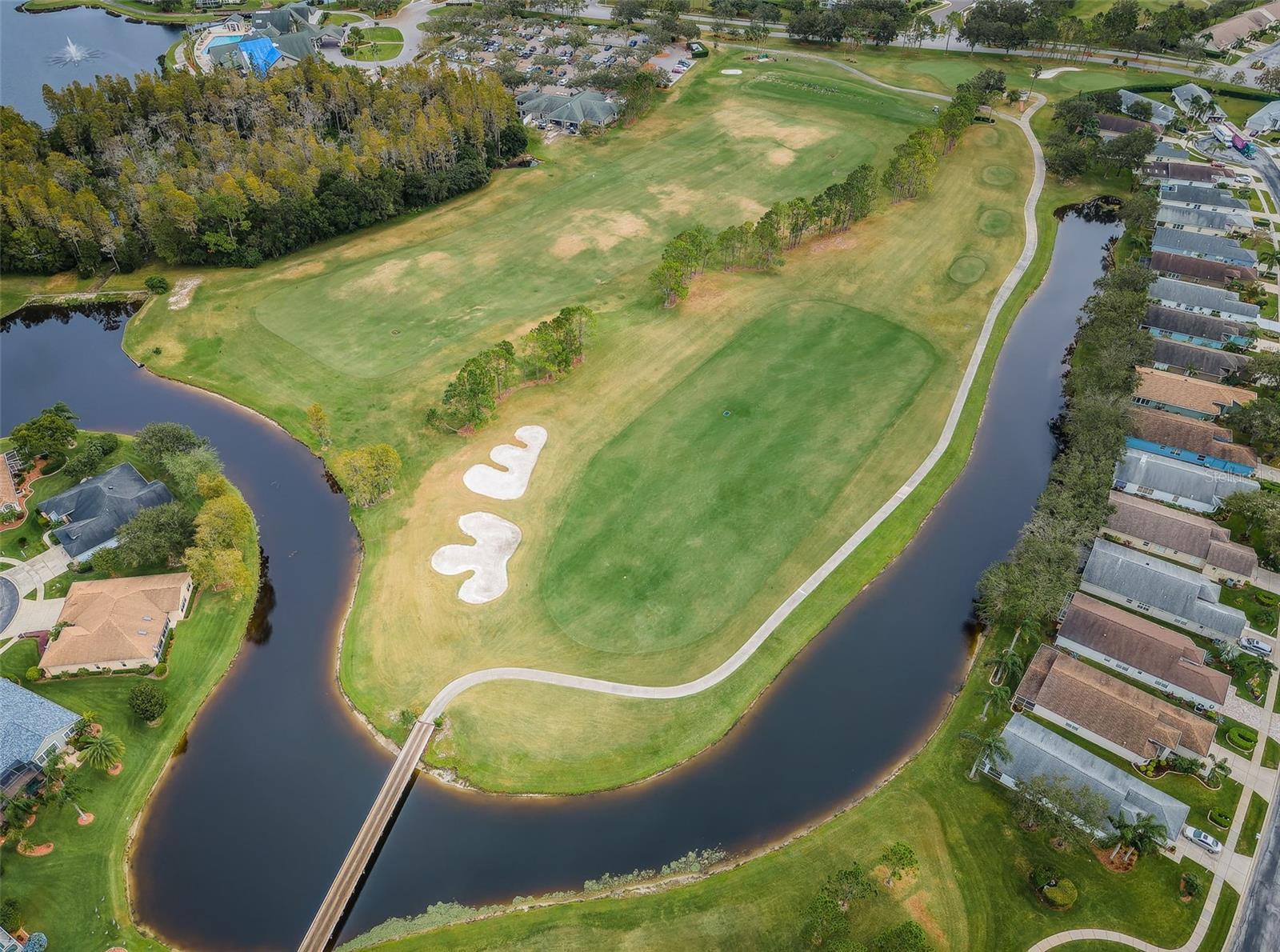 1439 HICKORY MOSS PL, TRINITY, FL, 34655
