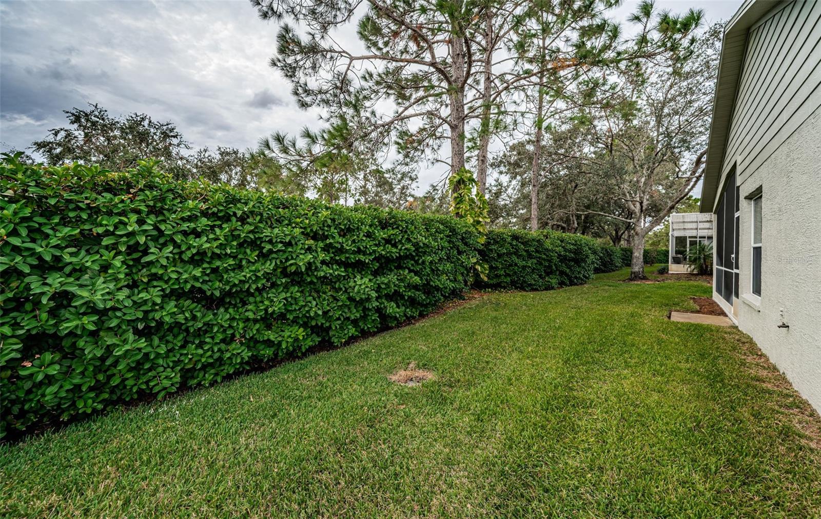 1439 HICKORY MOSS PL, TRINITY, FL, 34655