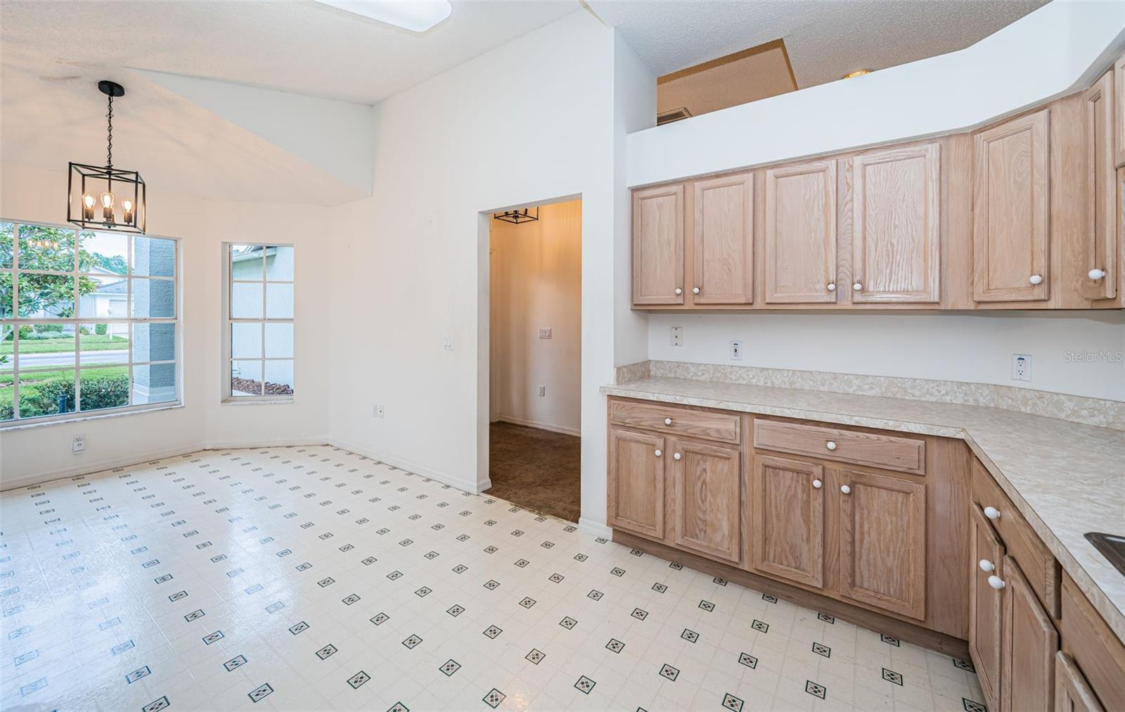 1439 HICKORY MOSS PL, TRINITY, FL, 34655