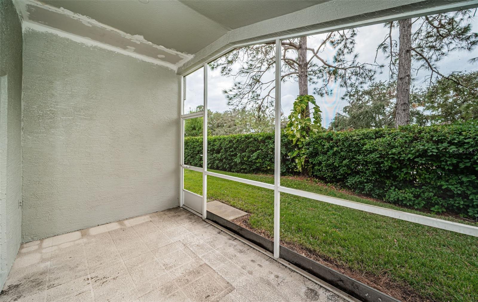 1439 HICKORY MOSS PL, TRINITY, FL, 34655