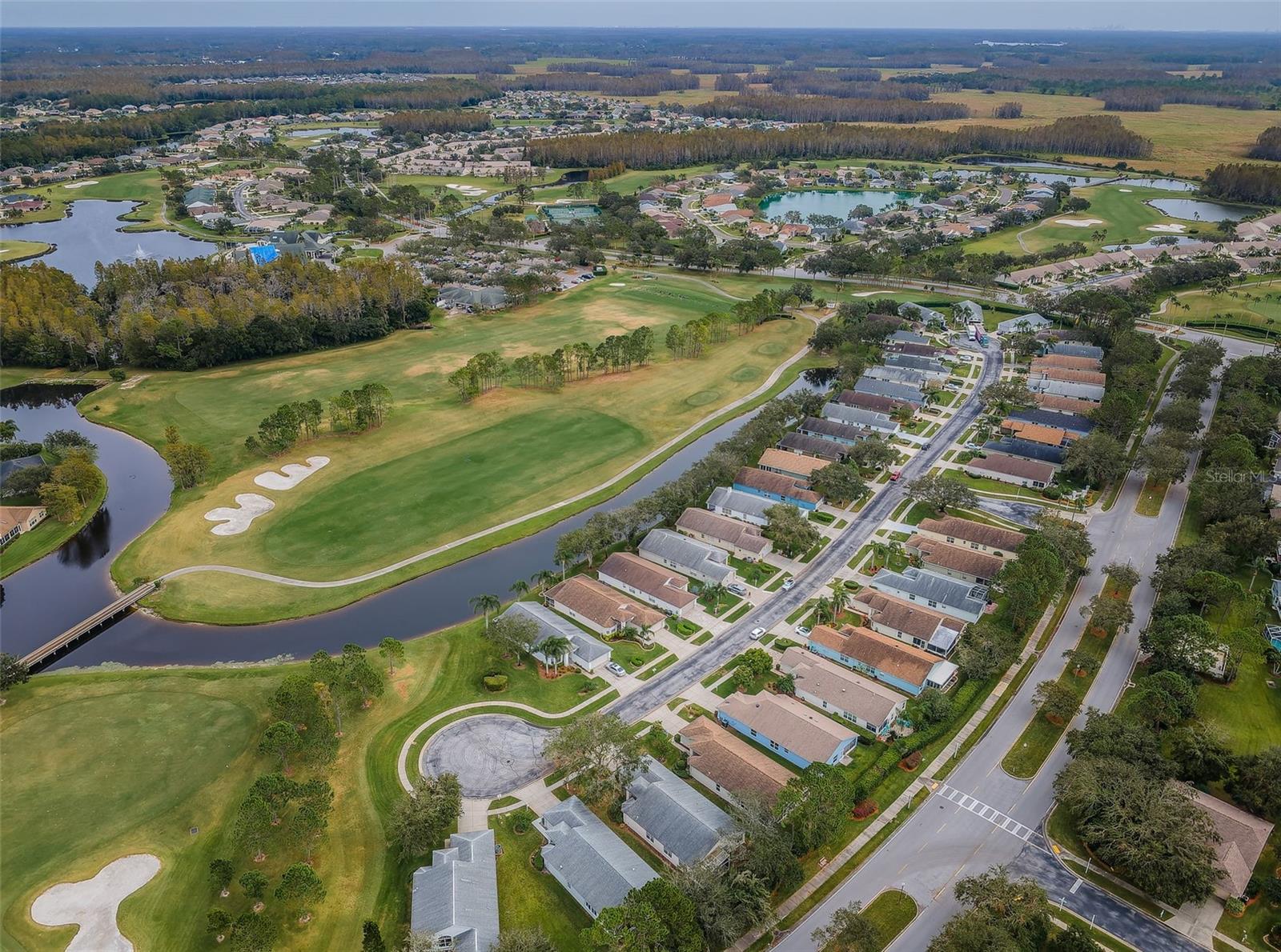 1439 HICKORY MOSS PL, TRINITY, FL, 34655