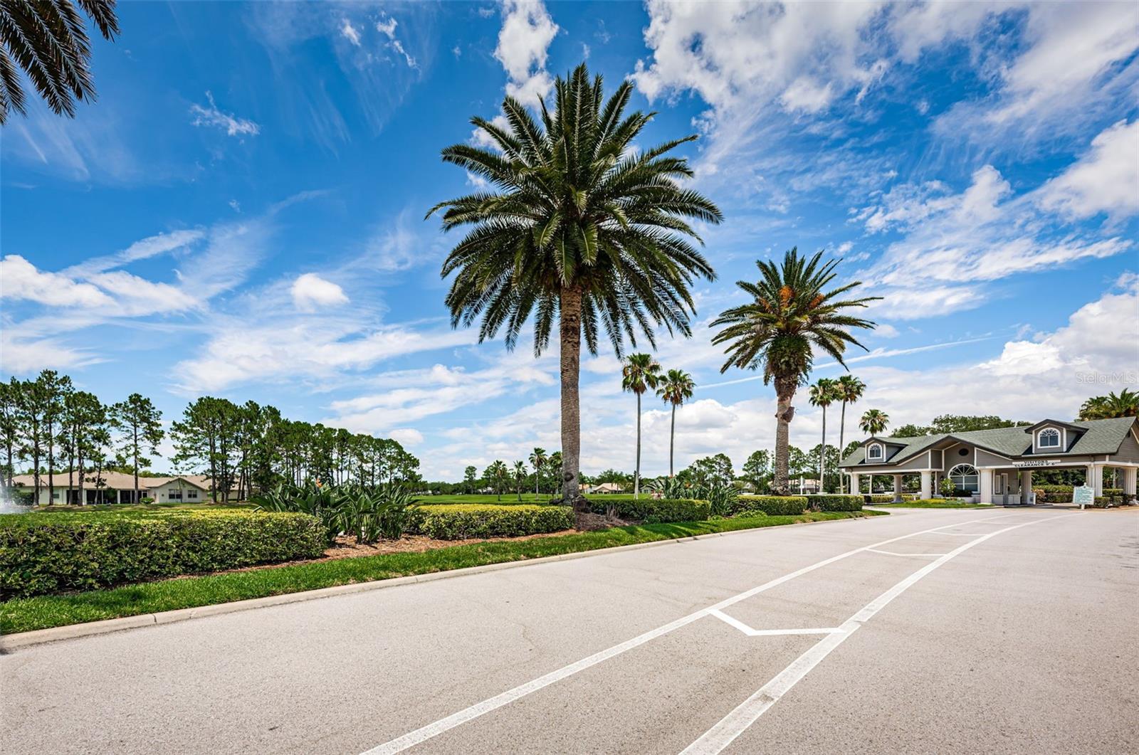 1439 HICKORY MOSS PL, TRINITY, FL, 34655