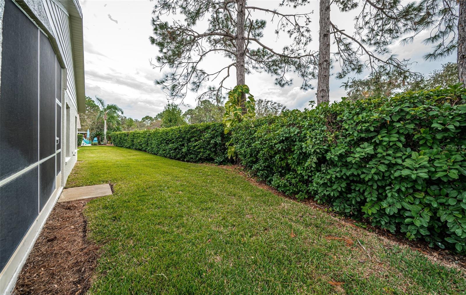 1439 HICKORY MOSS PL, TRINITY, FL, 34655