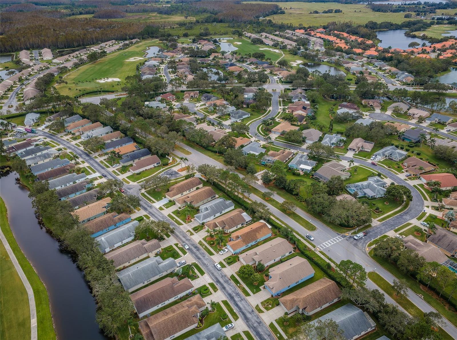 1439 HICKORY MOSS PL, TRINITY, FL, 34655