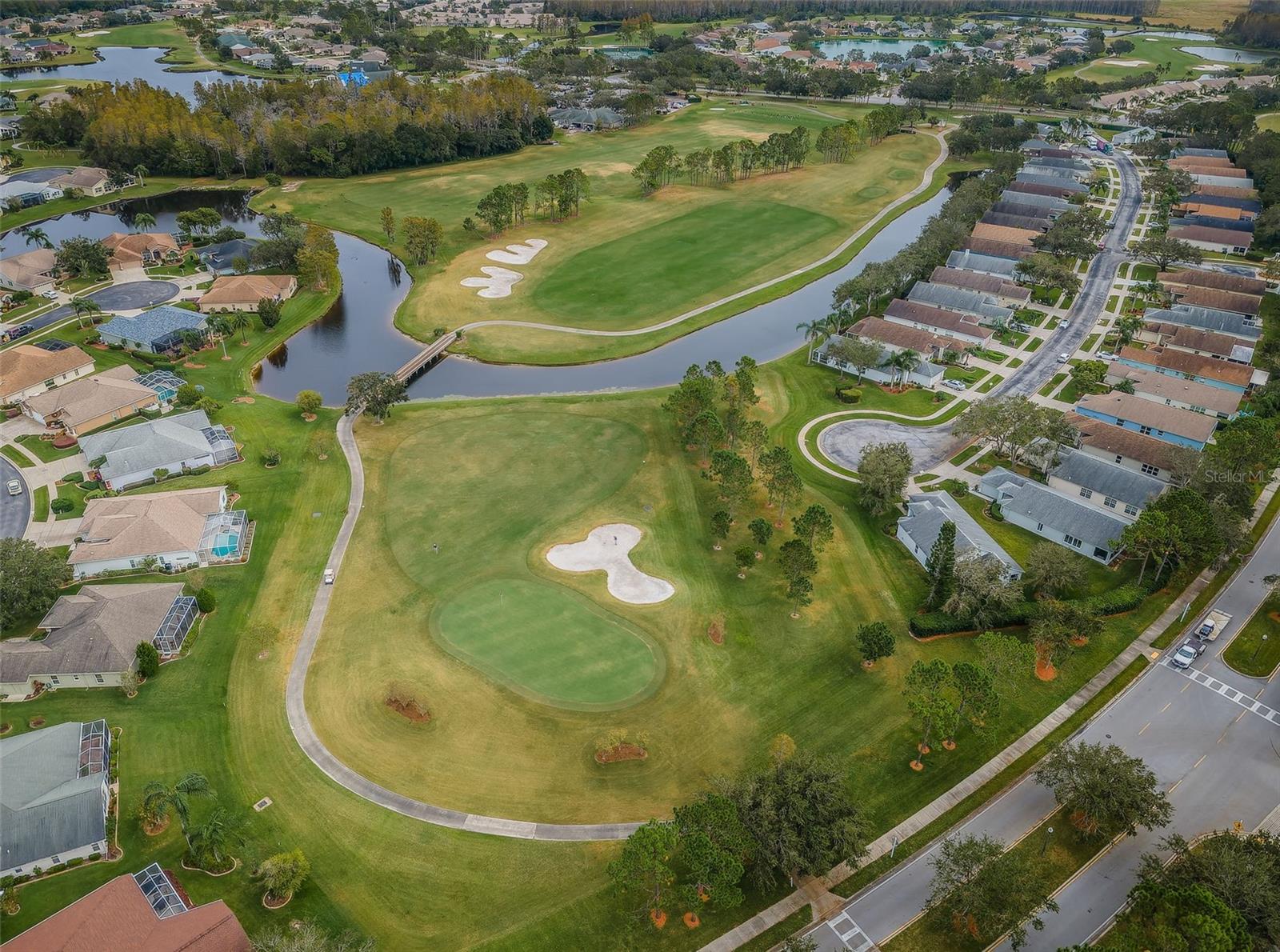 1439 HICKORY MOSS PL, TRINITY, FL, 34655
