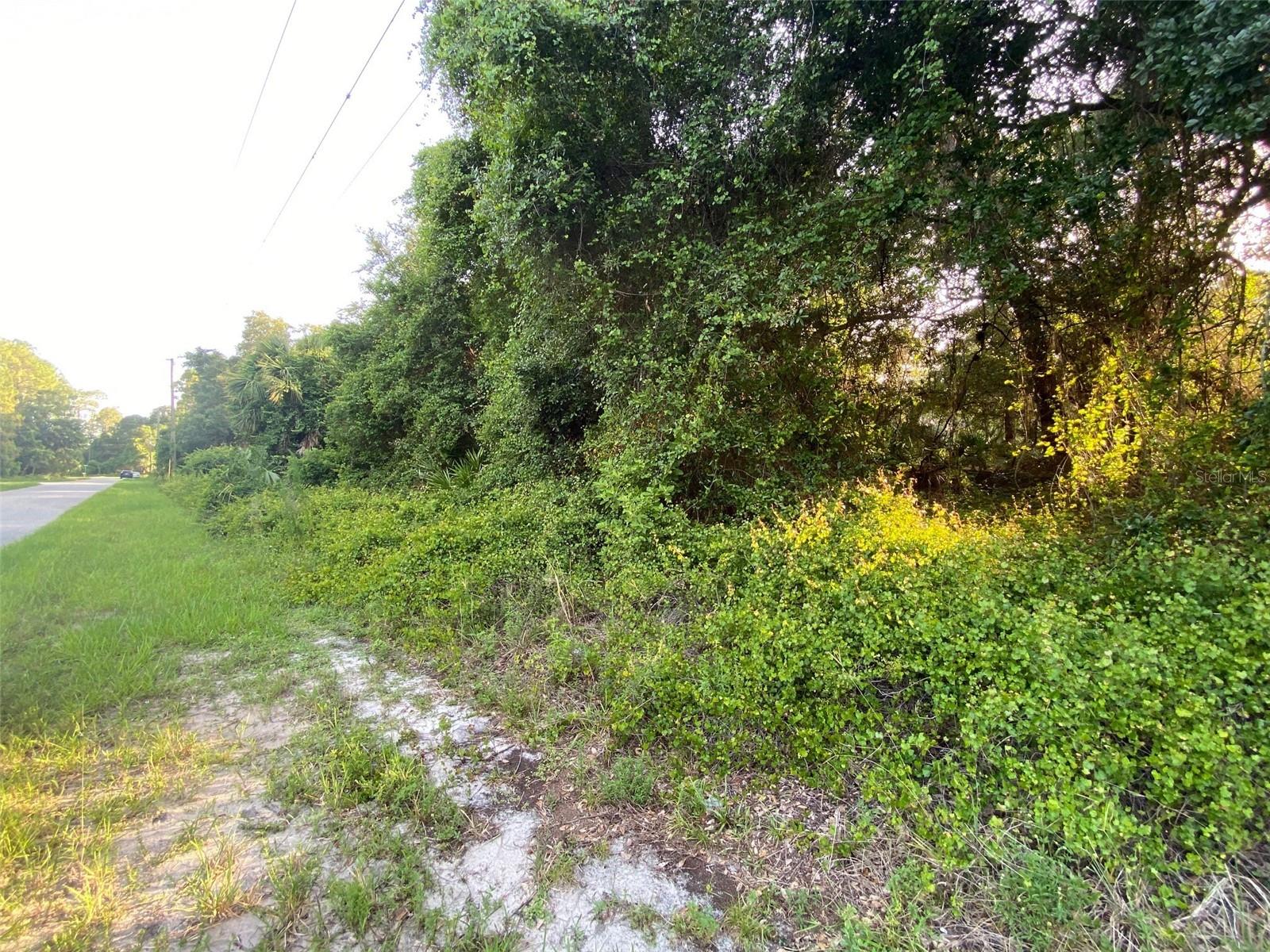 TYSON ST #Lot 3, NORTH PORT, FL, 34291
