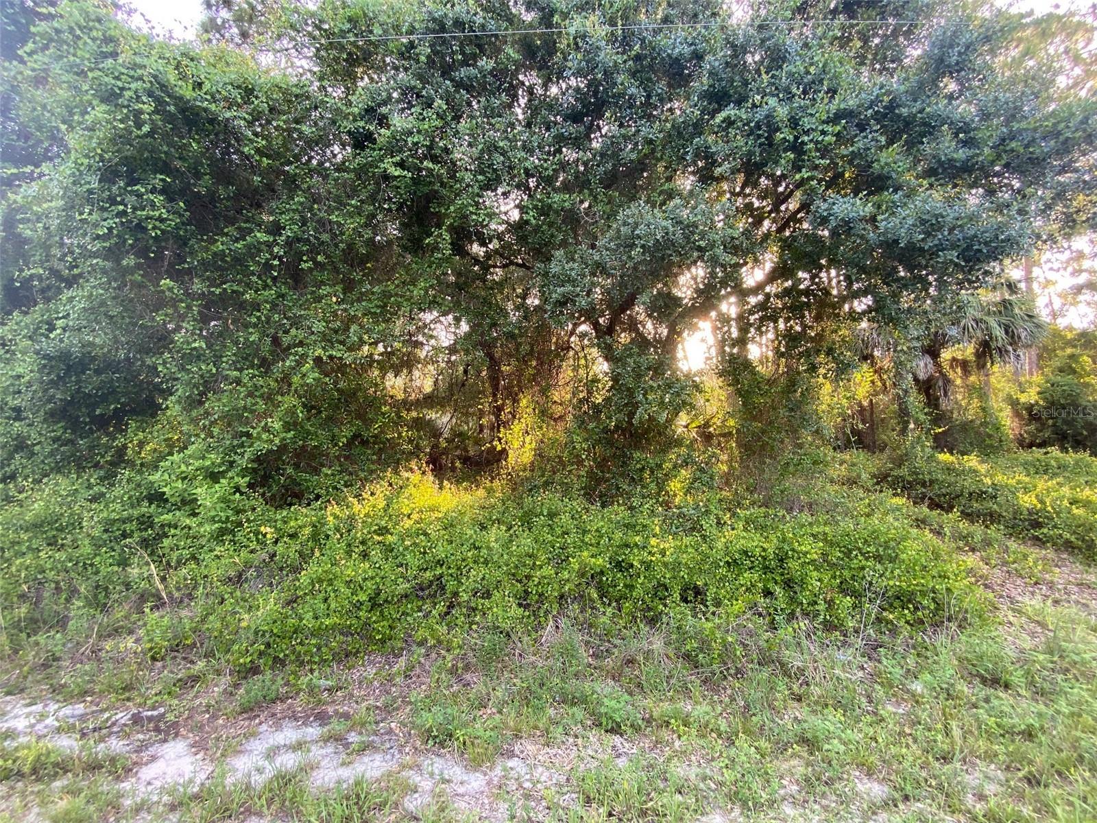 TYSON ST #Lot 3, NORTH PORT, FL, 34291