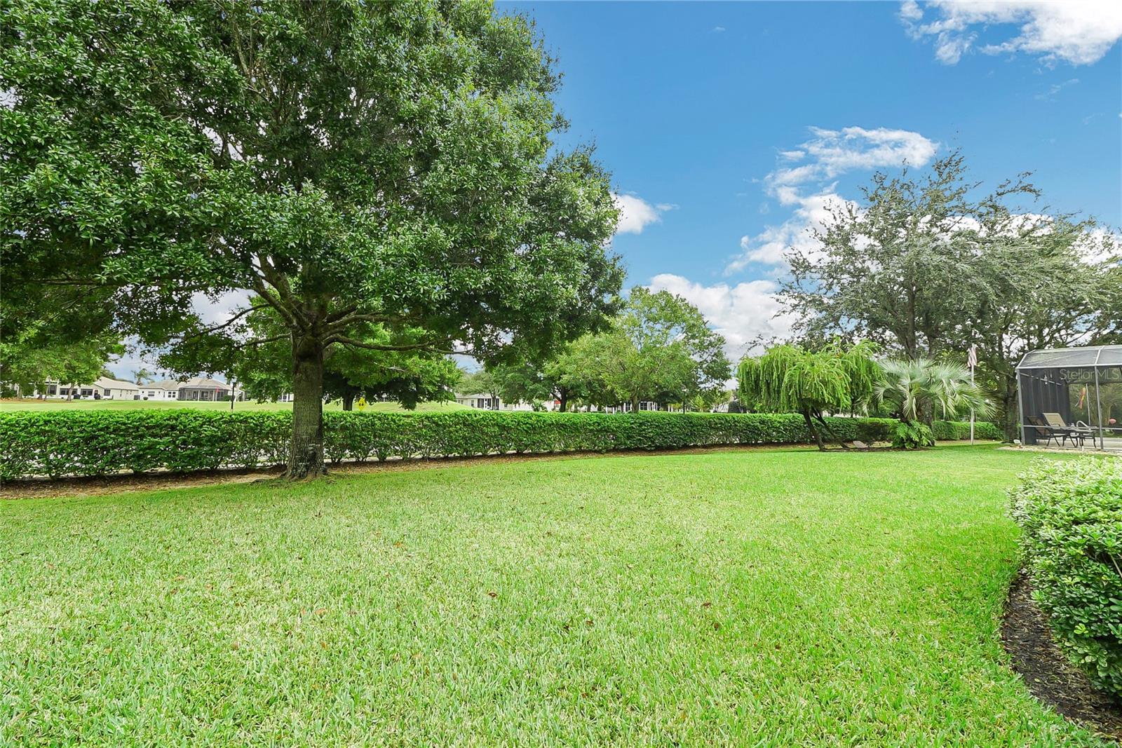 24128 ROBINWOOD ST, LEESBURG, FL, 34748