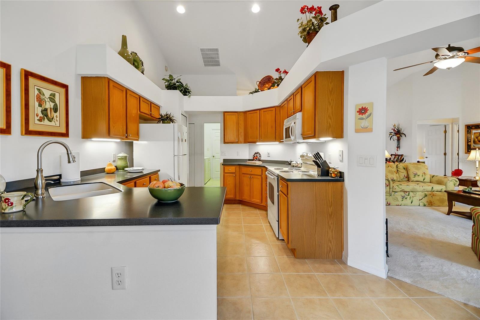 24128 ROBINWOOD ST, LEESBURG, FL, 34748