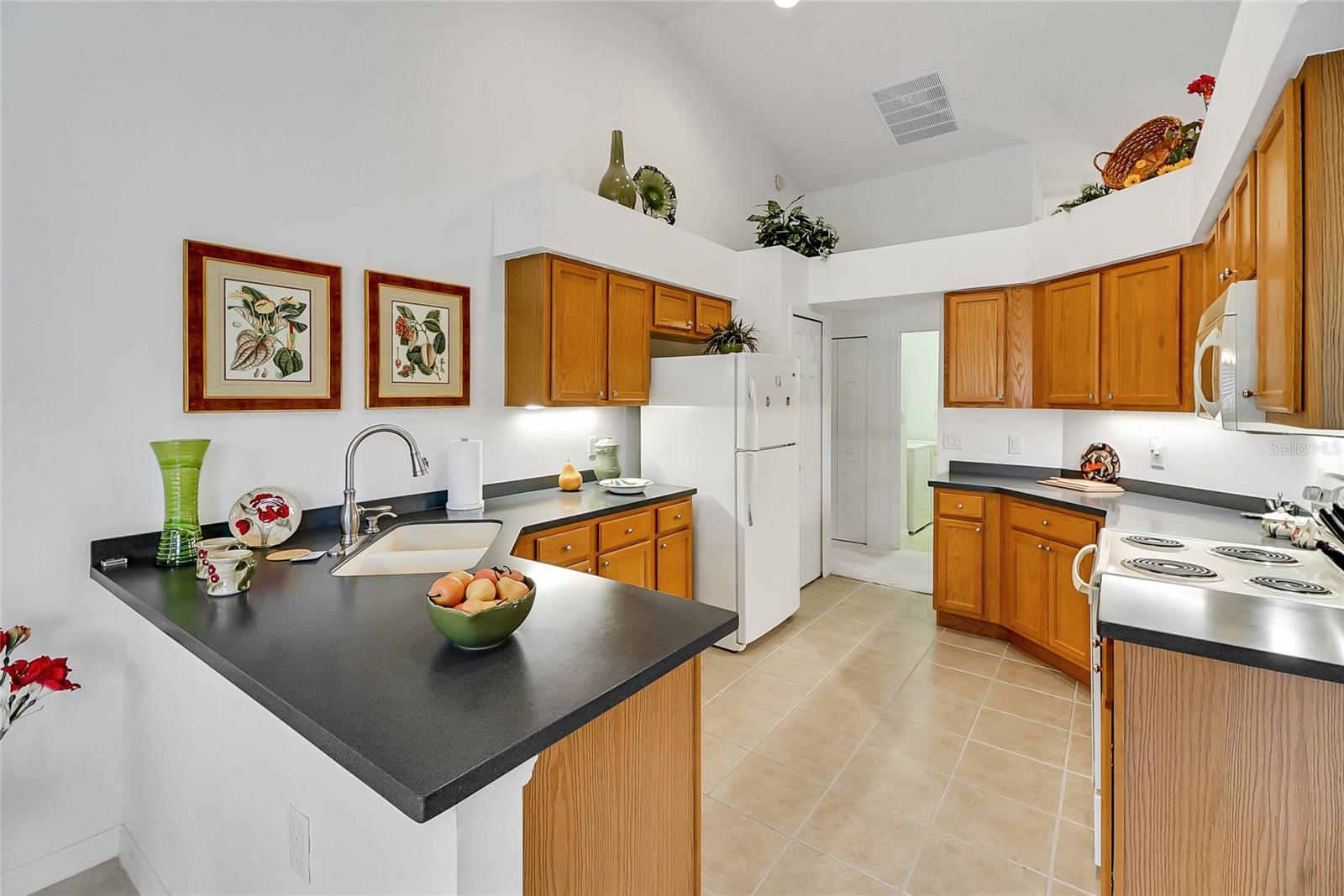 24128 ROBINWOOD ST, LEESBURG, FL, 34748