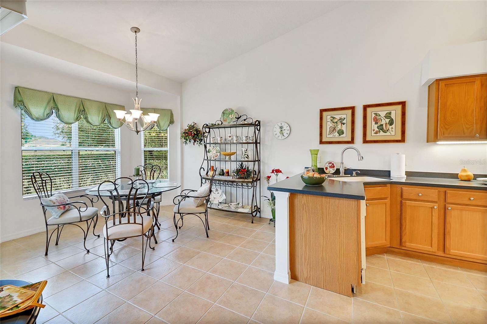 24128 ROBINWOOD ST, LEESBURG, FL, 34748
