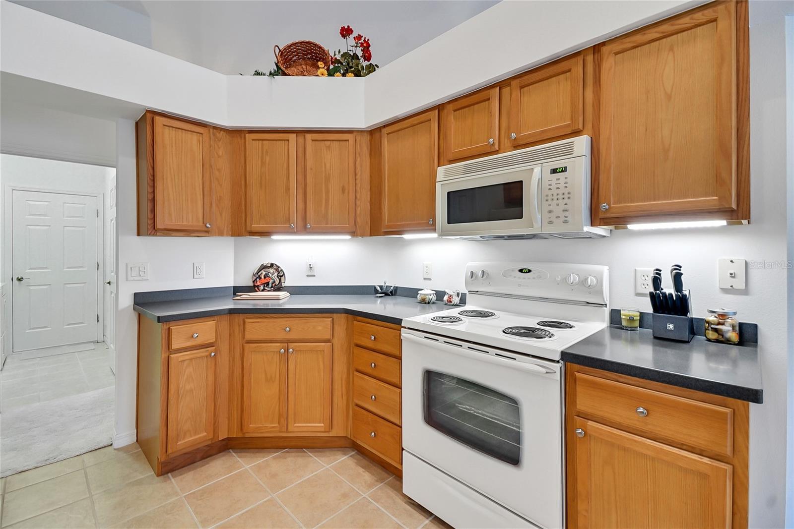 24128 ROBINWOOD ST, LEESBURG, FL, 34748
