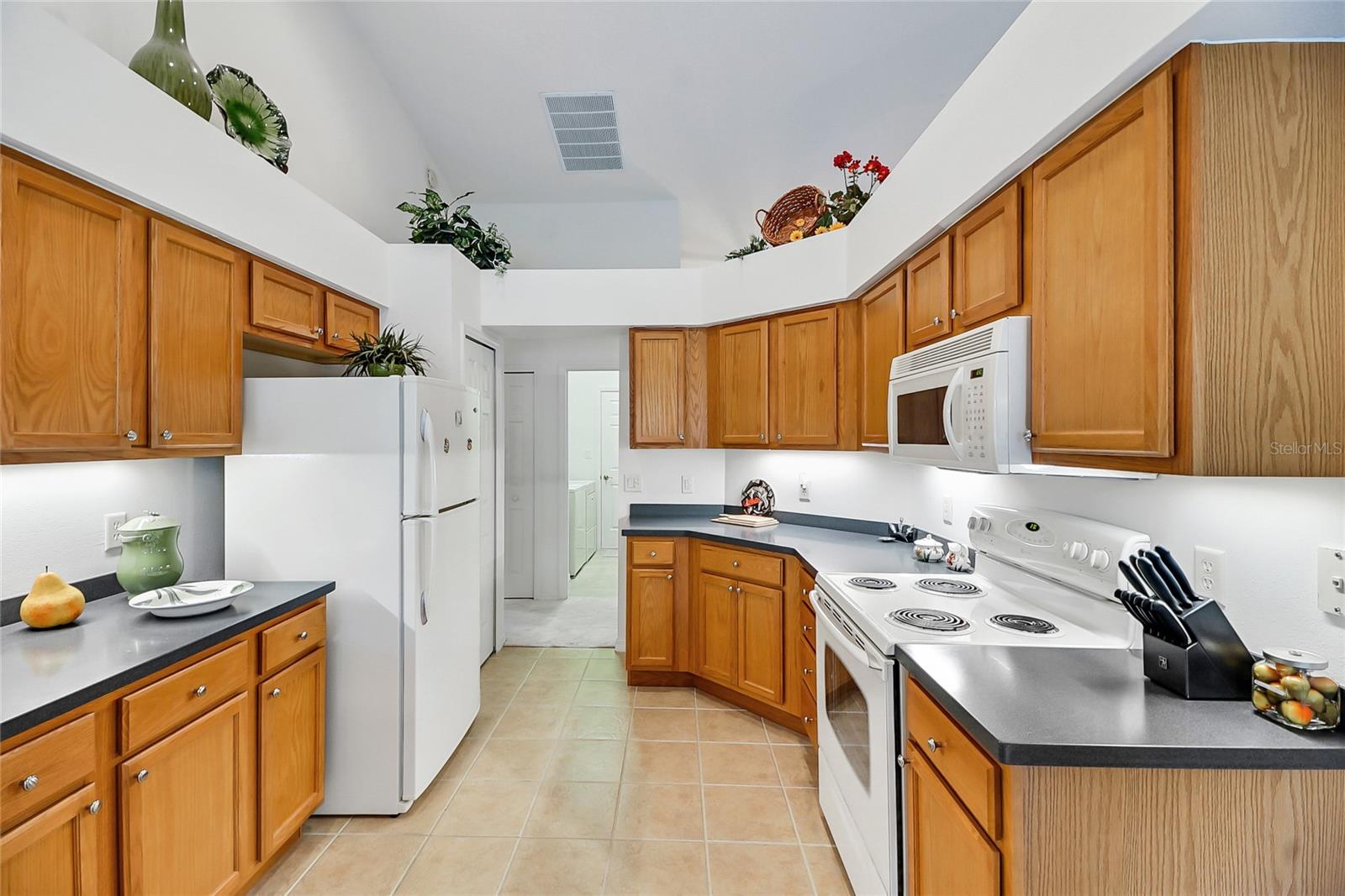 24128 ROBINWOOD ST, LEESBURG, FL, 34748